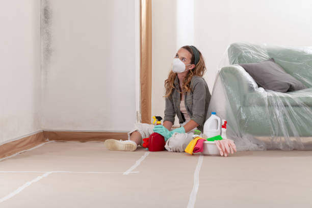 Reliable Basement Mold Removal contractor in Boswell, PA by WQB Mold Removal